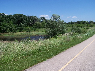 Ponds by Poplar Creek Trail